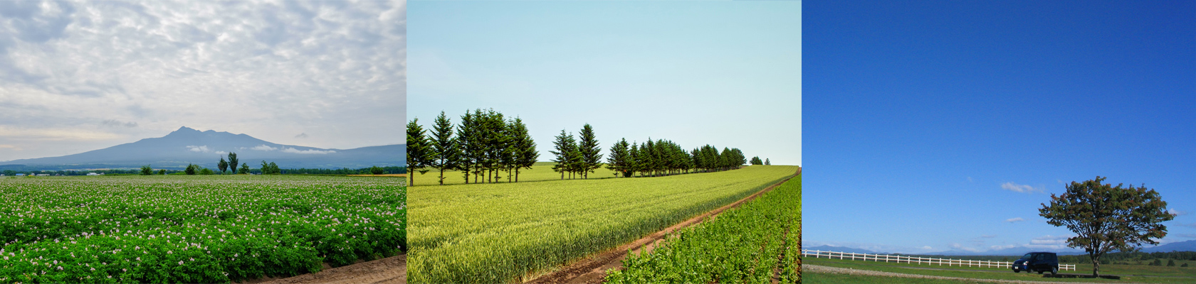 写真：北海道の風景